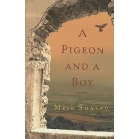 A Pigeon and a Boy: A Novel by Meir Shalev - English Edition