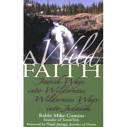 A Wild Faith: Jewish Ways Into Wilderness, Wilderness Ways Into Judaism By Rabbi Mike Comins