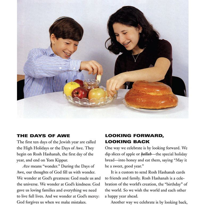 The Book of Jewish Holidays by Ruth Kozodoy Grade Level 3-5