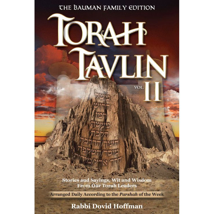 Torah Tavlin II by Rabbi Dovid Hoffman