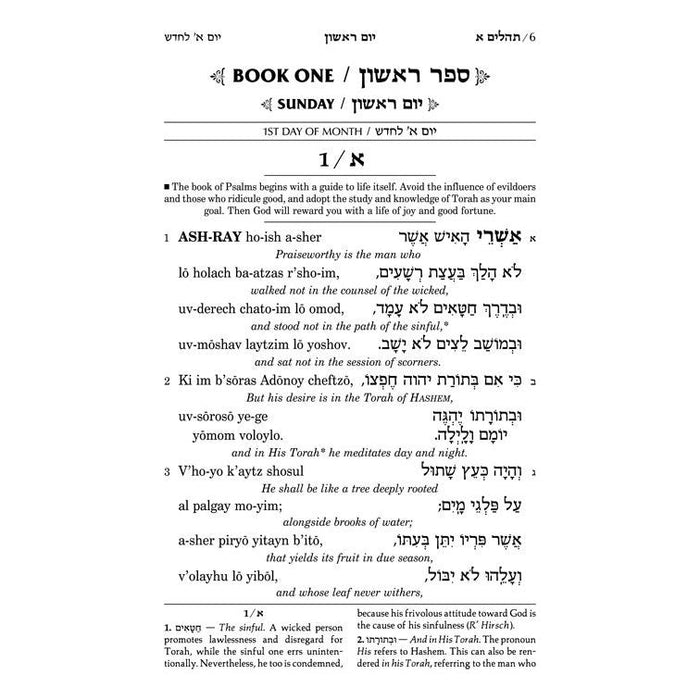 Artscroll Tehillim / Psalms Transliterated Linear Pocket Size Seif Edition