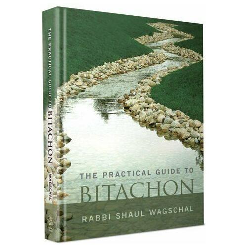 The Practical Guide to Bitachon By Rabbi Shaul Wagschal