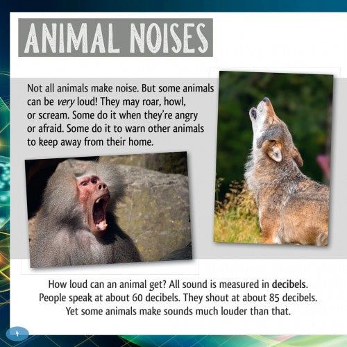 And the Winner Is...Who Is the Loudest Animal in the World By Meish Goldish