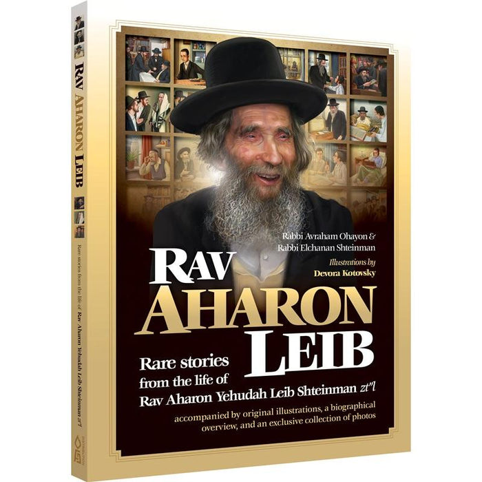 Rav Aharon Leib (Shteinman). By Avraham Ohayon