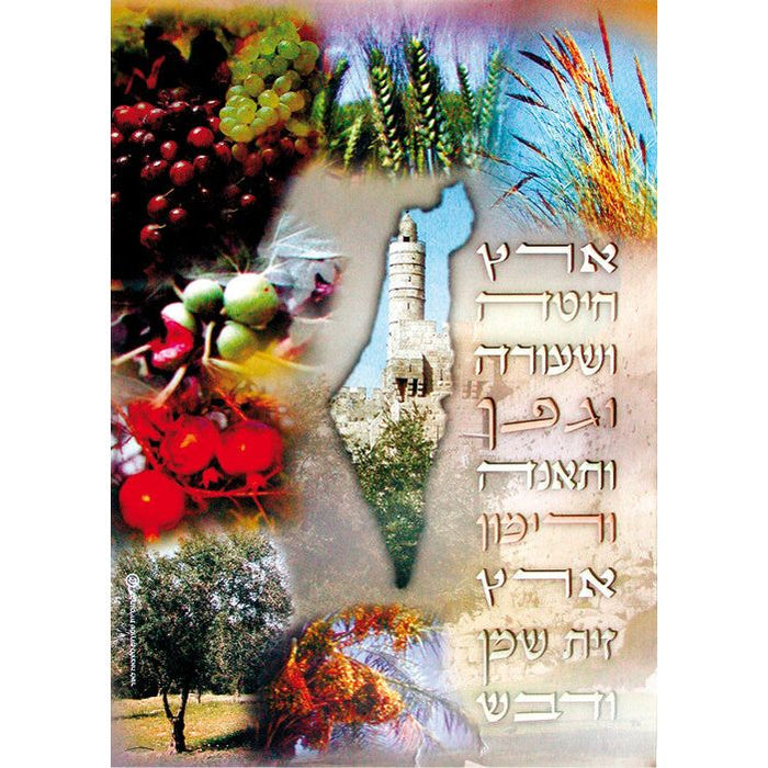 Laminated Poster Shivat Haminim Seven Species 20x28" Map of Israel