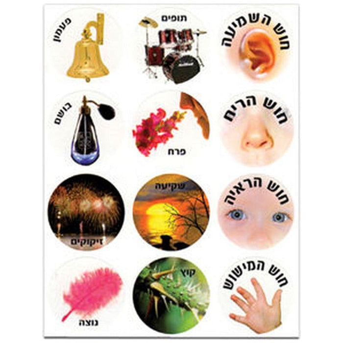 Hebrew Vocabulary Colorful Jewish Stickers - The Five Senses - Set of 120 stickers