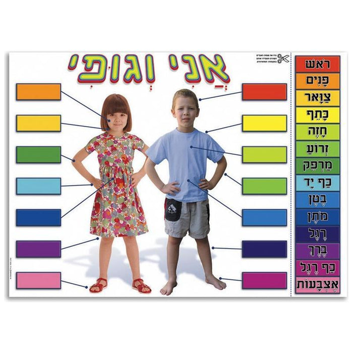 Ani Ve Gufi My Parts of the Body Interactive Large Hebrew Poster 27"x 19"