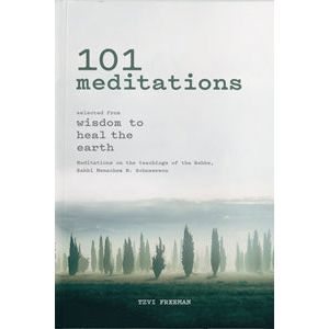 101 Meditations Selected from Wisdom to Heal the Earth By Tzvi Freeman