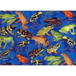 Passover Frog Pillowcase For Your Seder