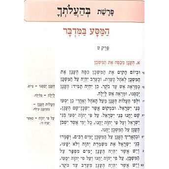 Torah Layeled Bamidbar - Devarim Workbook