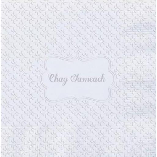 3 Ply Passover Luncheon Paper Party Napkins Pesach Chag Sameach Set of 20 6.5" x 6.5"