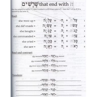 L'Shon HaTorah - Dalet - Beginners Workbook Rabbi Yehuda Winder Hebrew Workbook 4