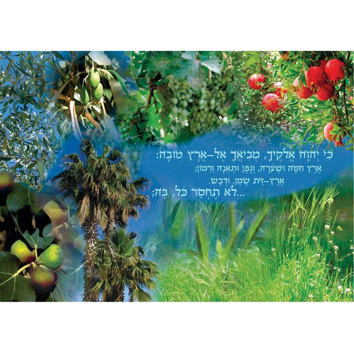 Laminated Poster 20"x 28" Shivat Haminim Seven Species of Israel