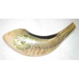 Rosh Hashanah Shofar 7 - 8 inch long Light Brown Each is unique