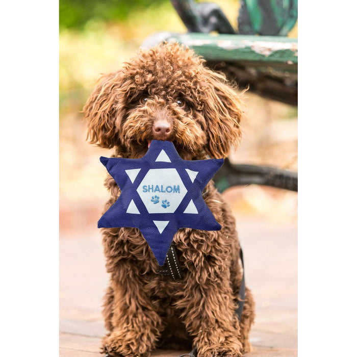 Chewdaicaâ"¢ "Shalom" Star of David Squeaky Dog Toy