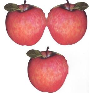 APPLES CARD Folder / Carded Stock Set of 20 Cutouts