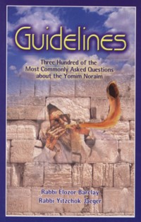 Guidelines 300 of the Most Commonly Asked Questions about the Yomim Noraim
