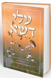ALEI DESHE: Thoughts on Jewish Education Edited and with a Foreword by Rabbi Isaac Rice