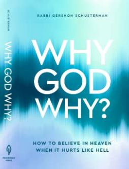 Why God Why? How to Believe in Heaven when it Hurts like Hell by Rabbi Gershon Schusterman