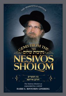 Gems from the Nesivos Shalom: Bein Hameitzarim Churban Europe Commentary by Slonimer