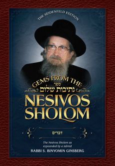 Gems from the Nesivos Shalom: Devarim Commentary by Slonimer Rebbe
