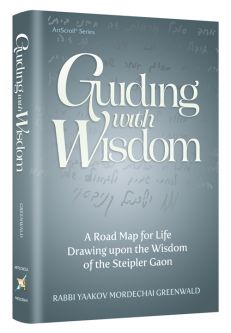 Guiding With Wisdom A Road Map For Life Drawing Upon The Wisdom of the Steipler Gaon