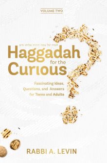 Haggadah for the Curious: Fascinating Ideas, Questions, and Answers For Teens & Adults Volume 2