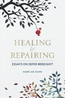 Healing & Repairing: Essays on Sefer Bereishit By Rabbi Ari Kahn