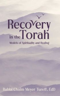 Recovery In The Torah Models Of Spirituality And Healing