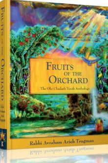 Fruits of the Orchard By Avraham Arieh Trugman