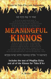 Meaningful Kinnos Tisha B'Av Kinnos with Explanations By A. Broder