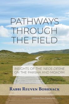 Pathways Through the Field  By Rabbi Reuven Boshnack