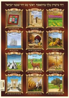 Laminated Jewish Poster 20" x 28" Shevatim 12 Tribes of Israel