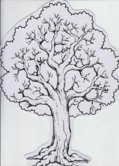 Tu B'Shevat Arts and Craft Project Shkedia Card Board Tree & Stickers Set of 36 &  240 stickers