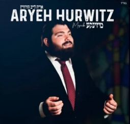Chazan Cantor ARYEH HURWITZ - MEZINKE Cantorial classics Niggunei CD