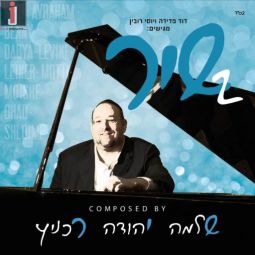 שיר - שלמה יהודה רעכניץ Shir 2 Shlomo Yehuda Rechnitz Music Album CD
