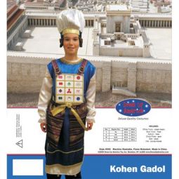 Jewish High Priest Kohen Gadol Purim Deluxe Costume by Dress Up America