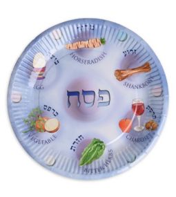 Elegant Passover Paper Plates Set of 12  9'' D Great for Seder Pesach