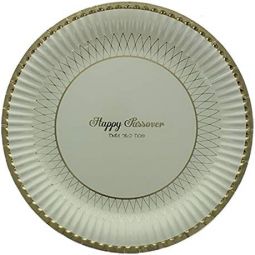 Pesach Sameach Foiled Paper Plates 9" Great for Passover Seder