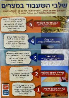 Timeline Slavery in Egypt Jewish Educational Poster 19"x27" Hebrew Text Laminated
