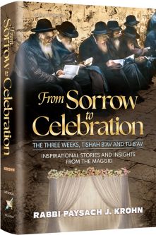 From Sorrow To Celebration Inspirarional Stories and Insights from the Maggid By Rabbi Paysach Krohn