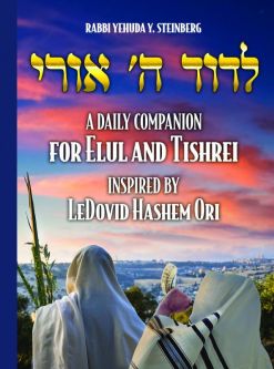 LeDovid Hashem Ori A Daily Companion For Elul And Tishrei Rabbi Yehuda Y. Steinberg