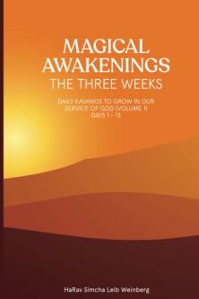Magical Awakenings The Three Weeks: Daily Kavanos To Grow In Our Service Of God
