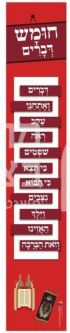 Parshiot Devarim Deuteronomy Weekly Torah Portions Order Jewish Hebrew Educational Poster Laminated