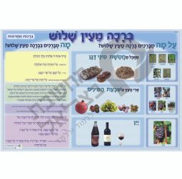 Birkat Mei'Ein Shalosh Jewish Educational Poster Hebrew Classroom ברכת מעין שלוש