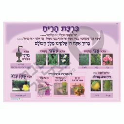 Birkat Harei'ach ברכת הריח Colorful Educational Hebrew Poster