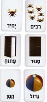OPPOSITES  Words Hebrew Vocabulary Educational Card GAME