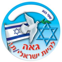Proud to Be Israeli Jumbo Jewish Hebrew Stickers Star, Flag, Dove Set of 36 Round Stickes