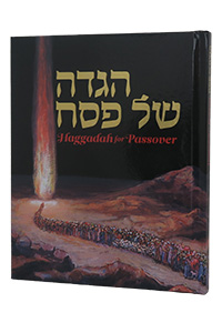 Passover ART Haggadah Shel Pesach By Kleinman 8.25"x10.25" 50 Illustrations