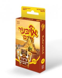 Oiber Chuchem - Parshas Hashavua Hebrew Yiddish Englihs Jewish Educational Game 6+